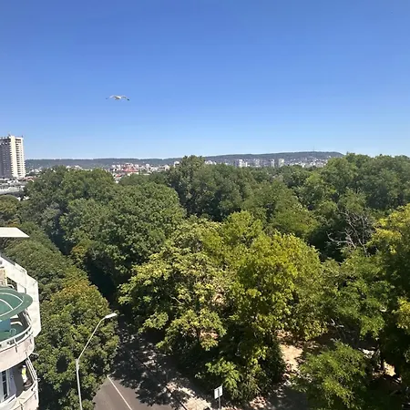 Apartment Glarus With Infinity Sea View *